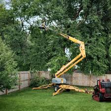 Trusted Charleston, MO Tree Removal and Landscaping Services Experts